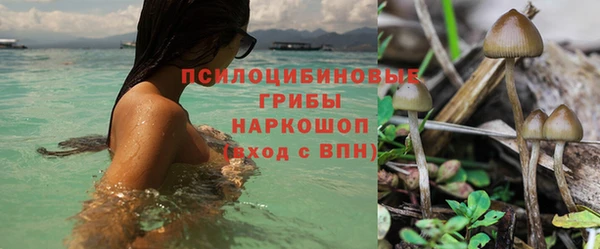 прущий лед Богородск