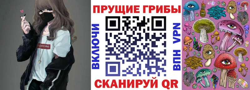 Галлюциногенные грибы прущие грибы  Великий Устюг 